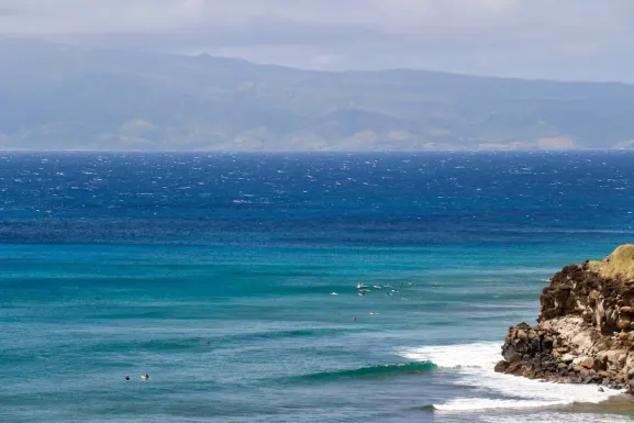 كاسو كازينو الدعم